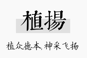 植扬名字的寓意及含义