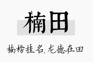 楠田名字的寓意及含义