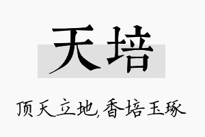 天培名字的寓意及含义