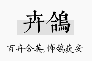 卉鸽名字的寓意及含义