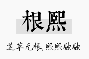 根熙名字的寓意及含义