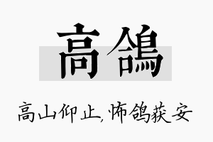 高鸽名字的寓意及含义