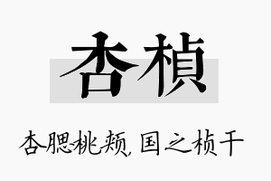 杏桢名字的寓意及含义