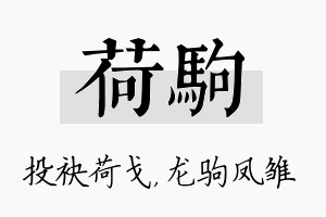 荷驹名字的寓意及含义