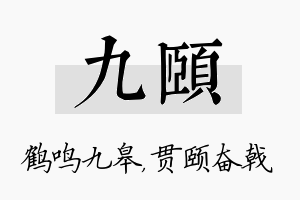 九颐名字的寓意及含义