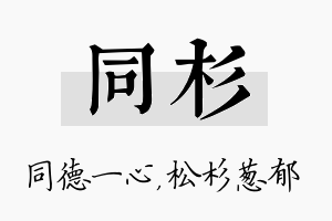 同杉名字的寓意及含义