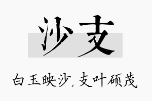 沙支名字的寓意及含义