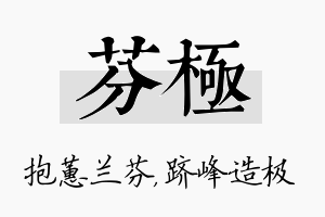 芬极名字的寓意及含义