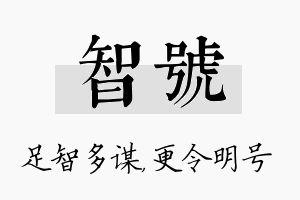 智号名字的寓意及含义