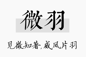 微羽名字的寓意及含义