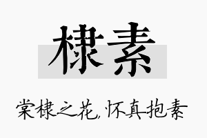 棣素名字的寓意及含义