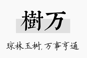 树万名字的寓意及含义