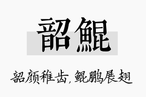 韶鲲名字的寓意及含义