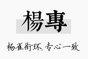 杨专名字的寓意及含义