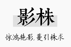 影株名字的寓意及含义