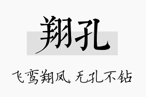 翔孔名字的寓意及含义