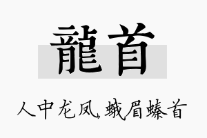 龙首名字的寓意及含义