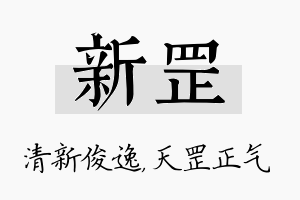 新罡名字的寓意及含义