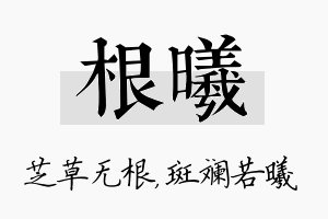 根曦名字的寓意及含义