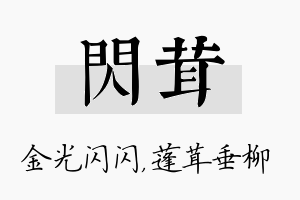 闪茸名字的寓意及含义