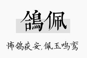 鸽佩名字的寓意及含义