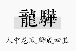 龙骅名字的寓意及含义