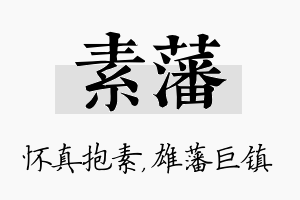 素藩名字的寓意及含义