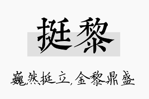 挺黎名字的寓意及含义