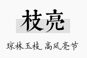 枝亮名字的寓意及含义