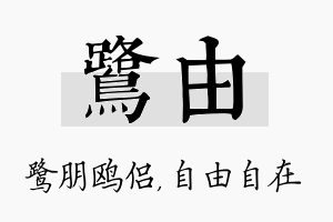 鹭由名字的寓意及含义