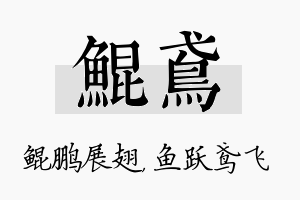 鲲鸢名字的寓意及含义