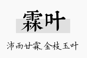 霖叶名字的寓意及含义