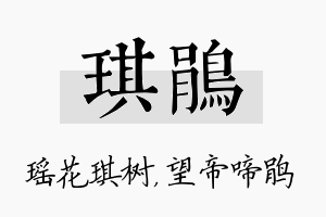 琪鹃名字的寓意及含义