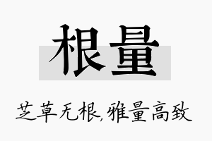 根量名字的寓意及含义