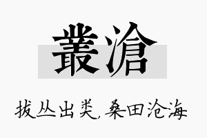 丛沧名字的寓意及含义