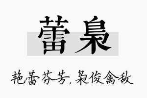 蕾枭名字的寓意及含义