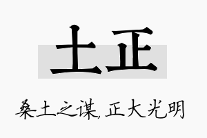 土正名字的寓意及含义