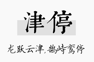 津停名字的寓意及含义