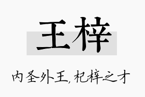 王梓名字的寓意及含义