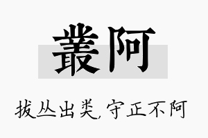 丛阿名字的寓意及含义