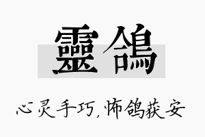 灵鸽名字的寓意及含义