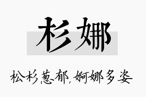 杉娜名字的寓意及含义