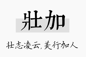 壮加名字的寓意及含义