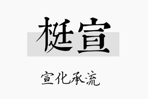 梃宣名字的寓意及含义