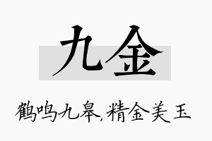 九金名字的寓意及含义