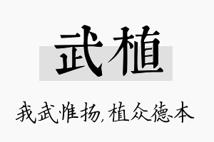 武植名字的寓意及含义