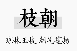 枝朝名字的寓意及含义