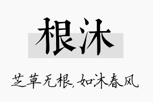 根沐名字的寓意及含义