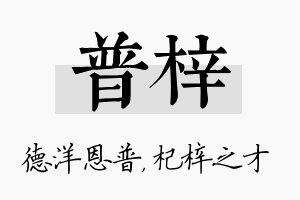 普梓名字的寓意及含义