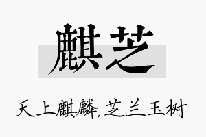 麒芝名字的寓意及含义